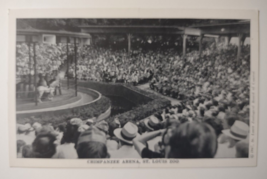 Chimpanzee Arena Show Crowds Of People St louis Zoo Monkey 1947 Vintage Unposted - £14.19 GBP