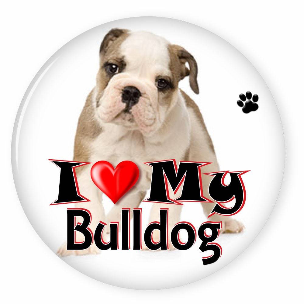 I Love My BULLDOG - Dog Puppy 3&quot; CAMPAIGN Pin Back Button For your favor... - $7.99