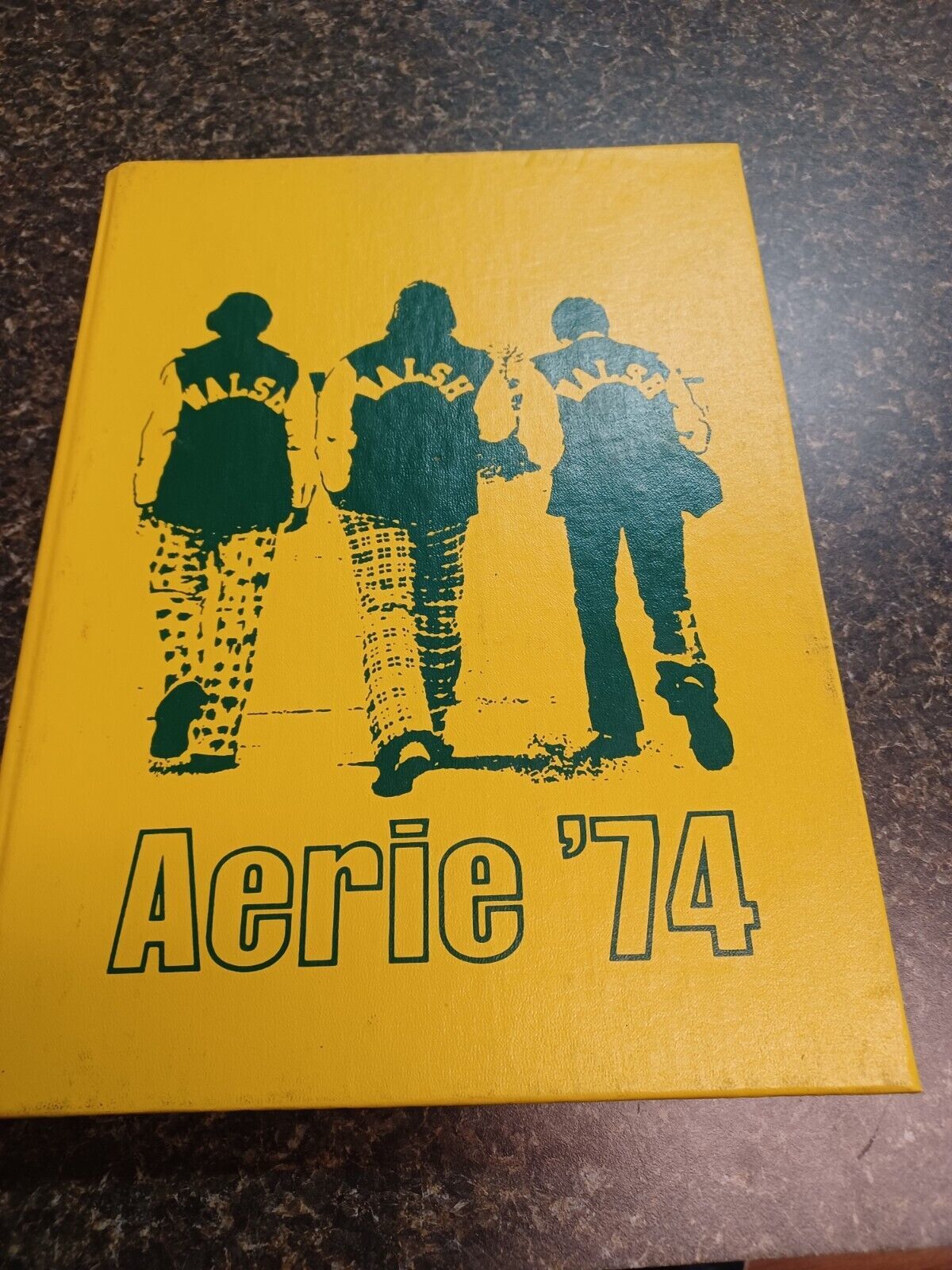 Archbishop Walsh High School Aerie Yearbook  Olean NY 1974 - $29.69