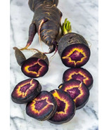 Berynita Store 100 Black Nebula Carrot Seeds Heirloom Organic Fresh  - $10.87