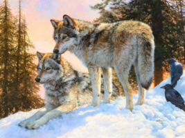 Yellowstone Wolves Wildlife country western wolf ceramic tile mural backsplash - £47.70 GBP+