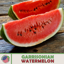 10 Seeds Garrisonian Watermelon Quick Grow Heirloom Seeds Transform Spaces - $8.35