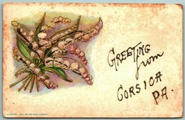 Lily of the Valley Greeting From Corsica Pennsylvania PA 1907 DB Postcard F8 - £4.90 GBP