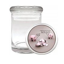 Piggy Bank Funny Em1 Medical Glass Stash Jar 3&#39;&#39; X 2&#39;&#39; Herb And Spice St... - $7.95