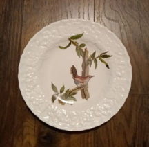 Alfred Meakin Bewick&#39;s Wren Birds of America Dinner Plate - $15.95
