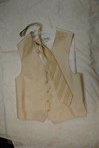 Calvin Klein Beige Striped Tuxedo Vest and Striped Necktie Size Medium - $201.27 CAD