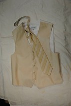 Calvin Klein Beige Striped Tuxedo Vest and Striped Necktie Size Medium - £27.09 GBP