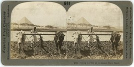 c1900&#39;s Real Photo Stereoview Card Tilling the Soil as in Ancient Days E... - $15.79
