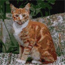 Pepita Needlepoint kit: Tabby Cat, 10&quot; x 10&quot; - £60.98 GBP+