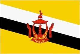 Brunei Flag Polyester 2 ft. x 3 ft. - £3.54 GBP