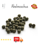 Premium Organic DRIED Abelmoschus Esculentus Bamia Seeds بذور البامية - $23.42 CAD+