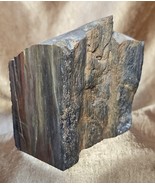 Natural Live Edge Petrified Wood Stone Fossil Colorful 1.25 lb Display L... - $56.77