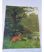 Deer Art Print - &quot;Always Alert&quot; - Unframed 16&quot; x 20&quot; - £7.86 GBP