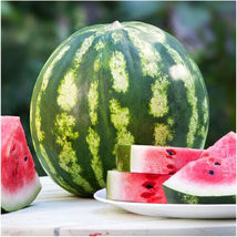 25 Crimson Sweet Watermelon Fruits Seeds Non-GMO - £6.32 GBP