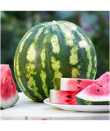 25 Crimson Sweet Watermelon Fruits Seeds Non-GMO - $7.89