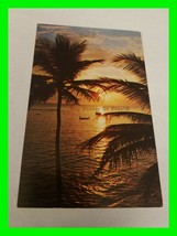 Vintage Photo Postcard Of A Beautiful Florida Sunset - £7.98 GBP
