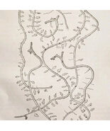 1903 Pine Bark Beetle Destruction Wood Engraving Agriculture Larval Mine... - $19.99