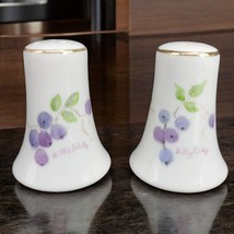 Salt &amp; Paper Shakers Hand Painted Porcelain Signed by Artist Blue Berrie... - $9.46