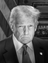 President Donald Trump White House Portrait 2025 Photo Poster Art Print B+W - $502.58 MXN+