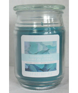 Ashland Scented Candle NEW 17 oz Large Jar Single Wick COASTAL GLASS summer - $551.68 MXN