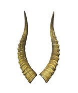 2 Blesbok Horns, African Antelope Horn Pair - Size: Around 14&quot; measured ... - $39.59