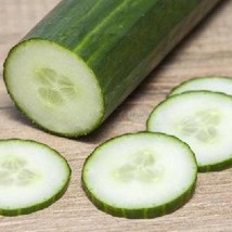 New Fresh Seeds Cucumber English Burpless - $17.50