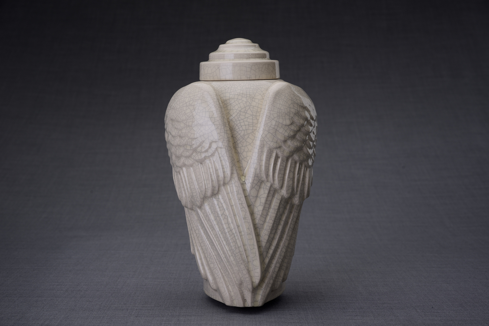 Primary image for Handmade Cremation Urn for Ashes "Wings" - Large | Craquelure | Ceramic