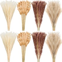 400 Pcs Dried Pampas Grass Decor Bulk 17 Inch White Dried Reed Grass Bunny Tails - £51.40 GBP