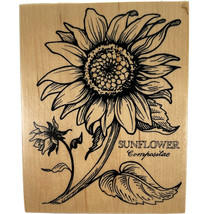 PSX Sunflower Compositae Botanical Floral Flower Rubber Stamp K-025 Vintage 1992 - £13.67 GBP