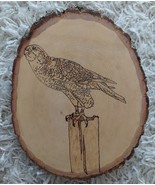 Handmade Engraved Wood Folkart Wildlife Bird Hawk Oval Wall Art Plaque - $24.99