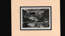 Bird on Rocky Ledge/By: D.L. Setford - $130.00