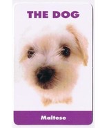 Trade Card Dog Calendar Card 2003 The Dog Maltese - $0.98