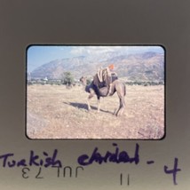 35mm Slide Turkish Camel 1973 Tourist Photo - £9.83 GBP