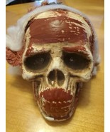 Vintage SKULL hard foam Head Halloween prop Decoration Scary  red corpse... - £7.78 GBP