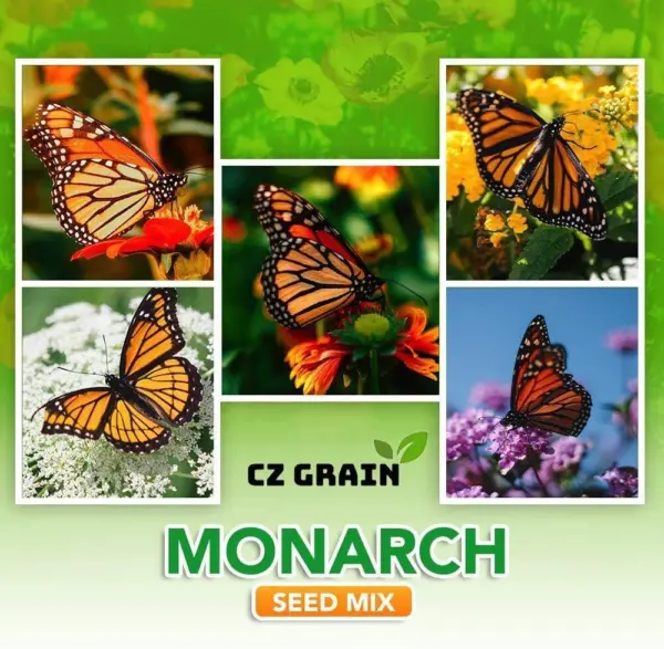 Monarch Butterfly Seed Kit-Annual And Perrenial Wildflowers And Milweed Usa Sell - £15.89 GBP
