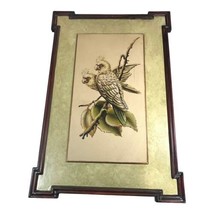 Vintage Framed Large Wall Art Parrots Picture Tropical Decor Wood 21X15 SEE - £97.75 GBP