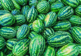 Congo Watermelon Seeds 25 Ct Fruit  35-50 Lbs  Sweet From US - $7.06