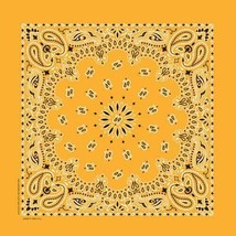 Carolina Creative Bandanna (Gold) Paisley Print 22&quot; x 22&quot; Hav-A-Hank - $7.51