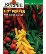GIB Pepper Hot Salsa Vegetable Seeds Burpee  - £7.04 GBP