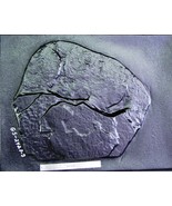 Giant Fieldstone Stepping Stone Mold 24&quot;x28&quot;x3&quot; Make Concrete Wall Rock ... - $2,249.30 MXN