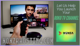 Launch a succesful roku tv channel for your business or content - £77.34 GBP