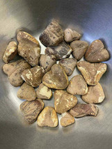Organic Dry Singoda 100g Singoda fdried ground water chestnuts 100g - $125.72 MXN