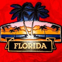 Old vintage Florida refrigerator magnet - $441.02 MXN