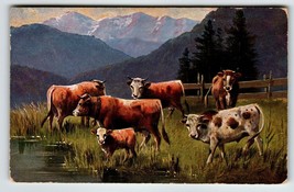 Postcard Cows Animals Rustic Mountains HKM Serie 228 A Muller Germany 1907 - £11.07 GBP