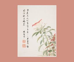 Shenmo Flowering Cockscomb Chinese Botanical Art Print 12 x 16 in - £15.78 GBP