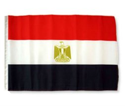 AES 12x18 12&quot;x18&quot; Egypt Sleeve Flag Boat Car Garden Vivid Color and UV Fade Resi - £3.10 GBP