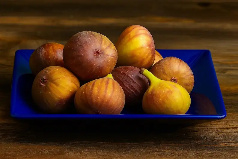 100 Hardy Chicago Fig Tree Seeds, Perennial Tree, Non-GMO - $12.99