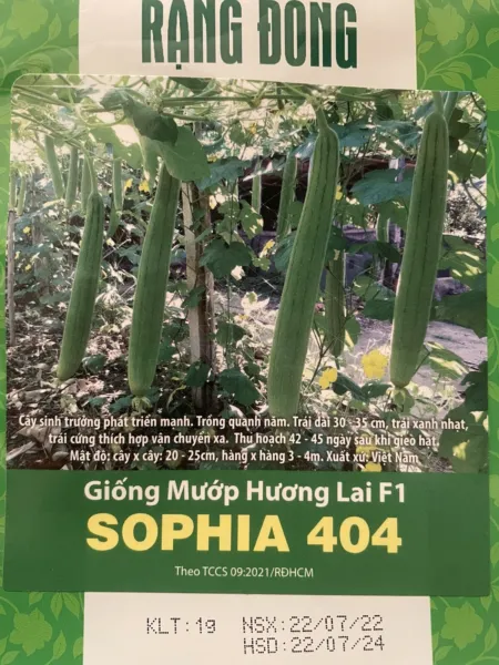 Fresh 20 Vietnamese Hybrid Smooth Luffa Seeds HạT GiốNg MướP Hương Lai F1 Sophia - £15.65 GBP
