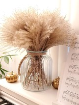 100 pcs Fluffy Pampas Grass Reeds Dried Flower 17&quot; Tall Sparse Natural Plant for - £40.27 GBP