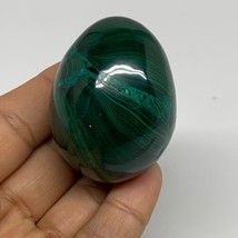 142.3g, 2&quot;x1.5&quot;, Natural Solid Malachite Egg Polished Gemstone @Congo, B32775 - £90.63 GBP